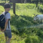 phoca_thumb_m_vlet 14 Fotogalerie